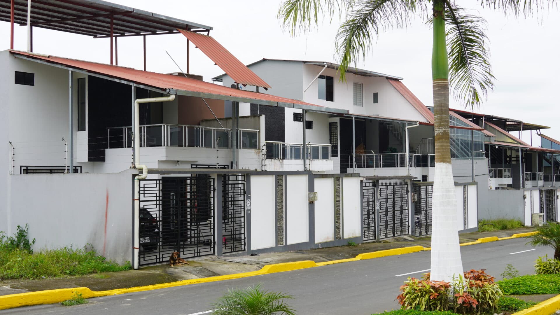 Residencia premium Wilerconst